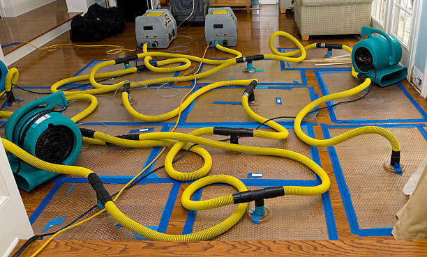 Professional Burst Pipe Water Damage technician working in Englewood, TN